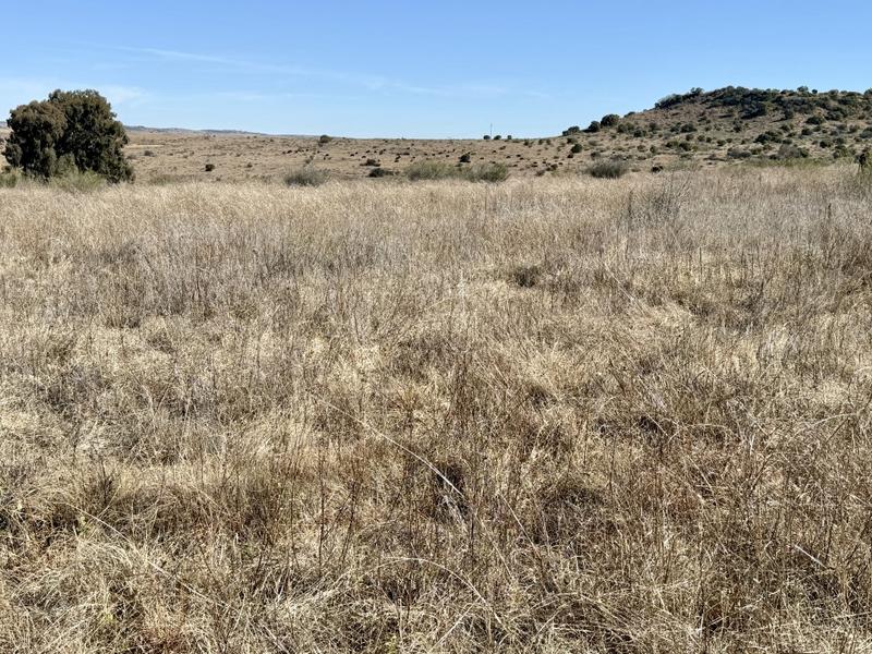 0 Bedroom Property for Sale in Lindley Free State